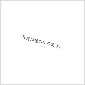 ネコポス対応】YOKOMO(ヨコモ)/BL-WMB/BLシリーズESC用Wi-Fi ...